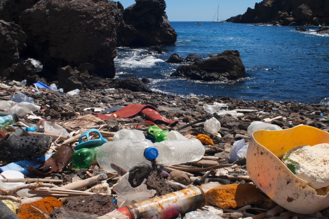 Pollution des Plages du Lac Léman : Une Situation Alarmante